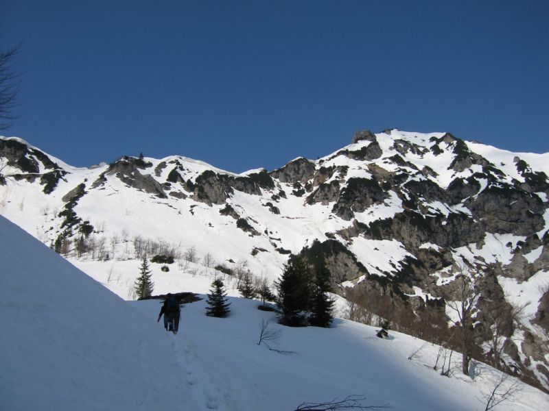 2009-04-13 Stripsenkopf (10)